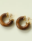 Natural Tiger’s Eye & Red Stone Hoop Earrings - floysun